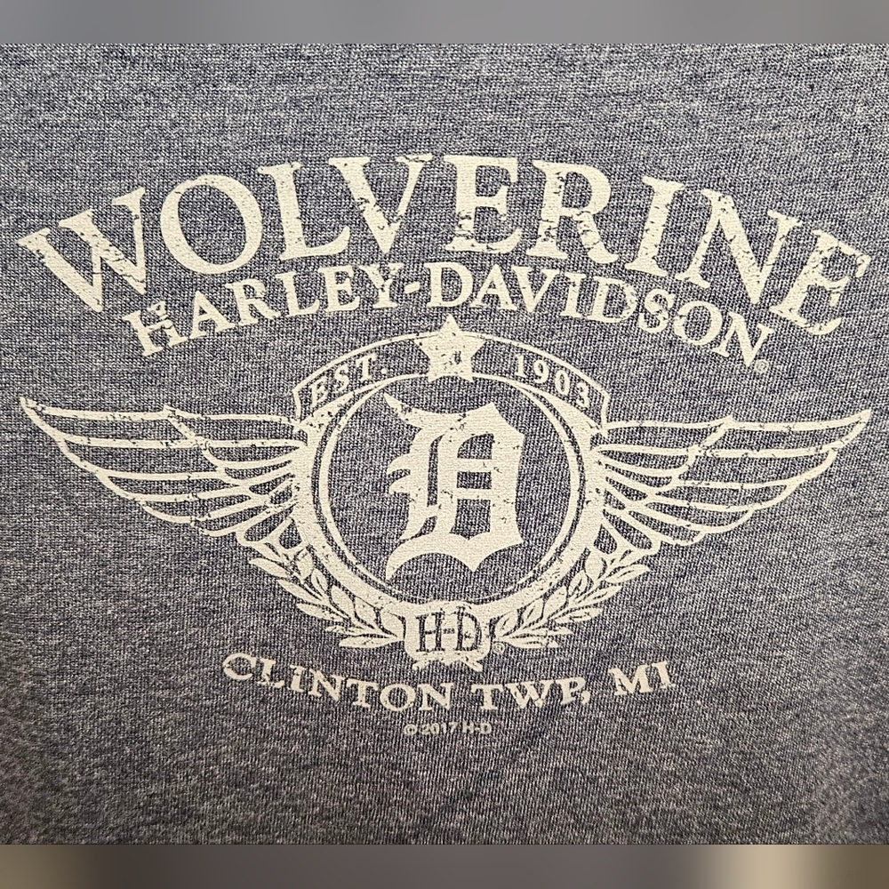 Harley Davidson Luney Tunes T-shirt - Picture 3 of 5